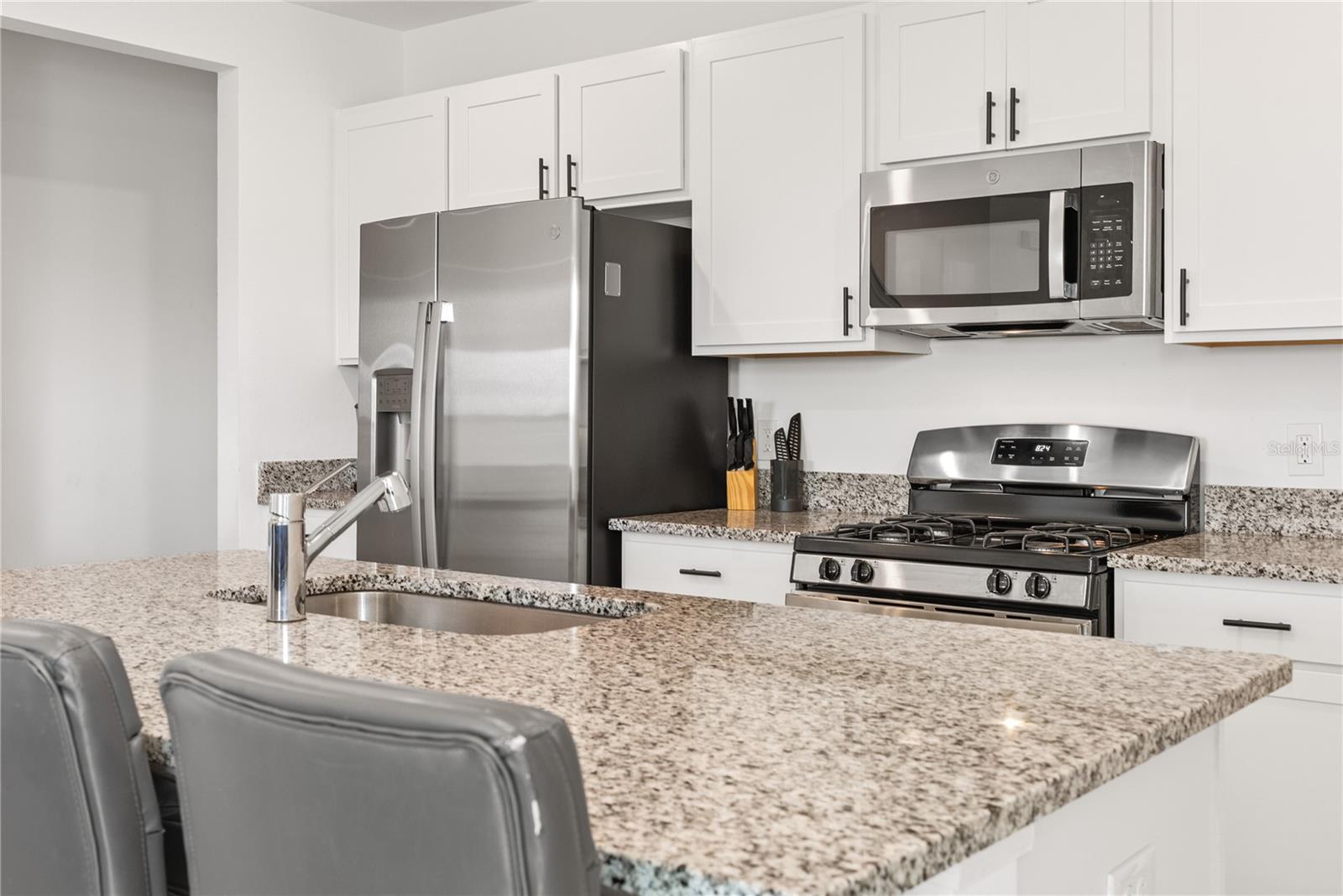 15038 Windflower Aly Property Photo 19