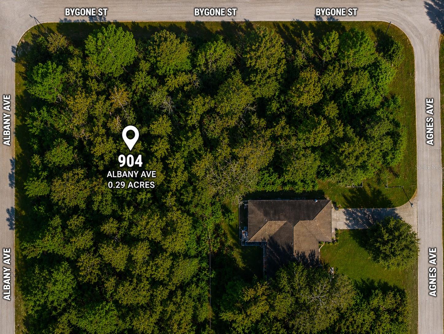 904 Albany Ave Property Photo 3