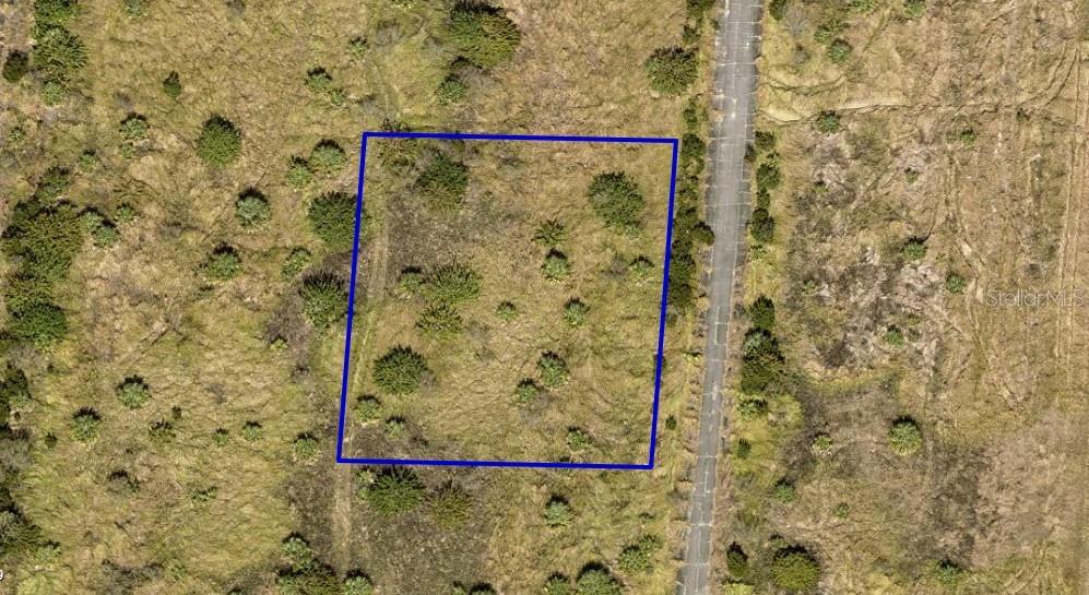 2500 Irwin Ave Sw Property Photo 2