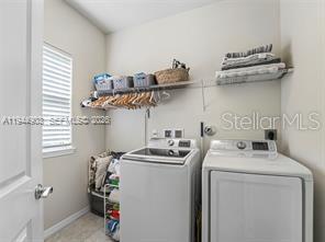 3953 Black Olive Ln Property Photo 39