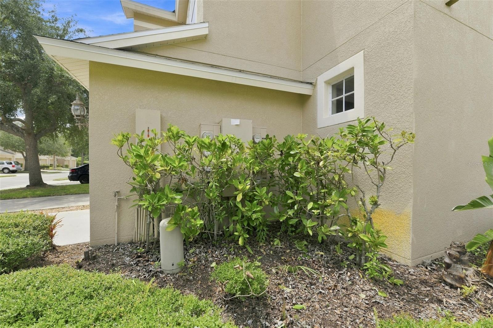 2823 Conch Hollow Dr Property Photo 35