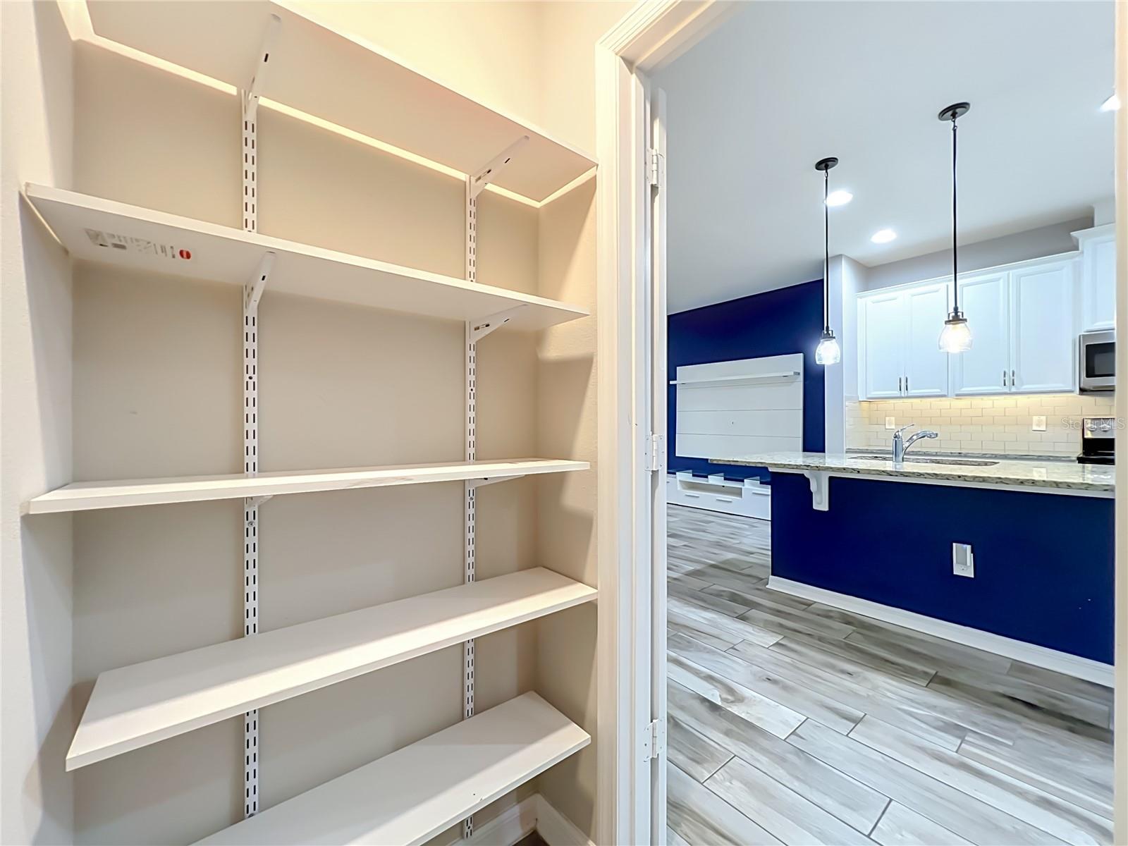 12043 White Wave Pt Property Photo 52