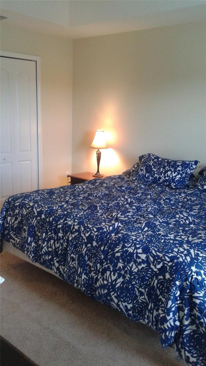 10725 Savannah Landing Cir Property Photo 12