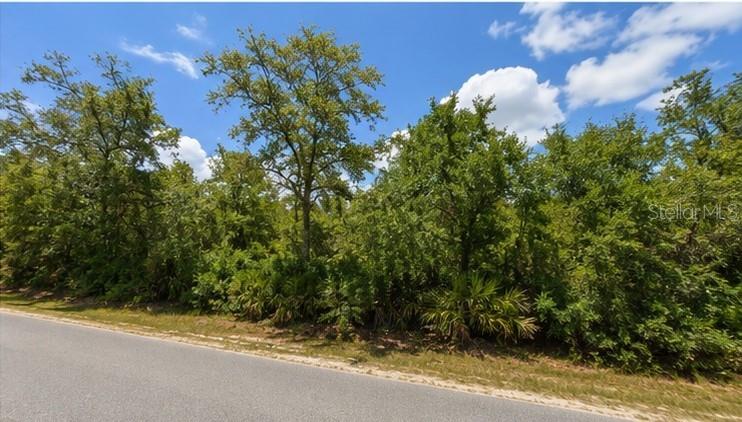 00 COUNTRY RD Property Photo 1