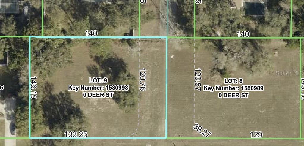 Lot 9 Deer St Property Photo 9