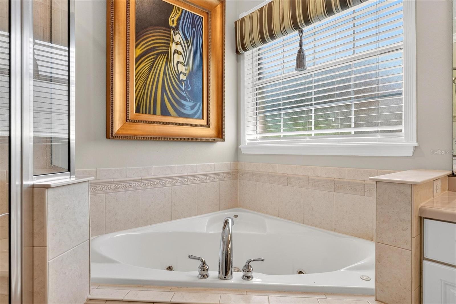 1070 Ceasars Ct Property Photo 52