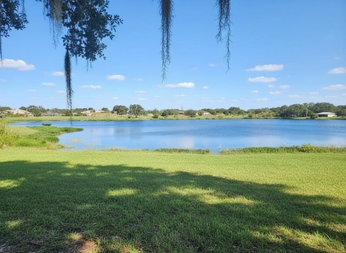 14322 LAKE JUNIETTA DR