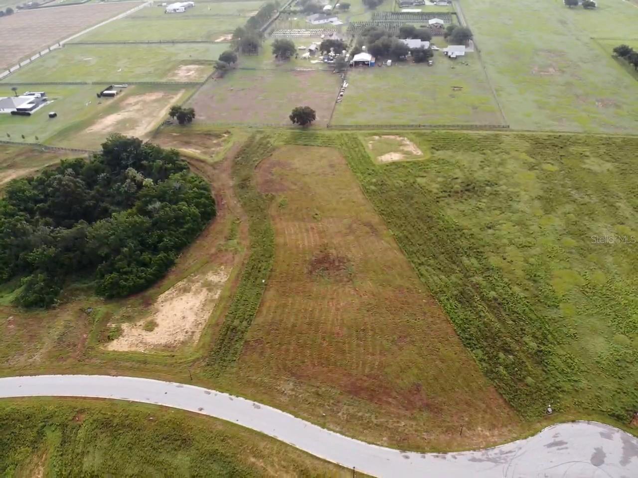 10023 White Egret Dr Property Photo 1
