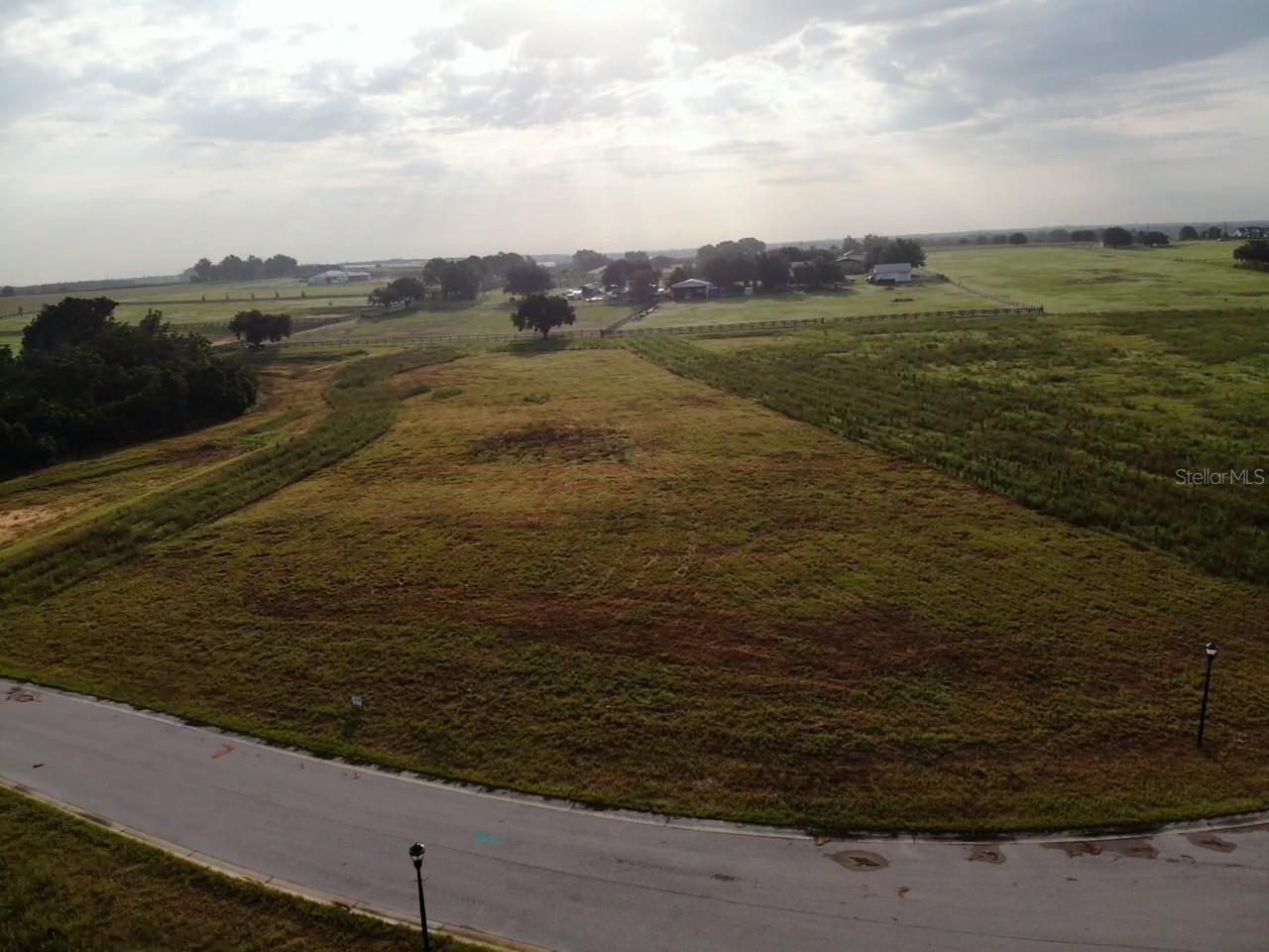10023 White Egret Dr Property Photo 3