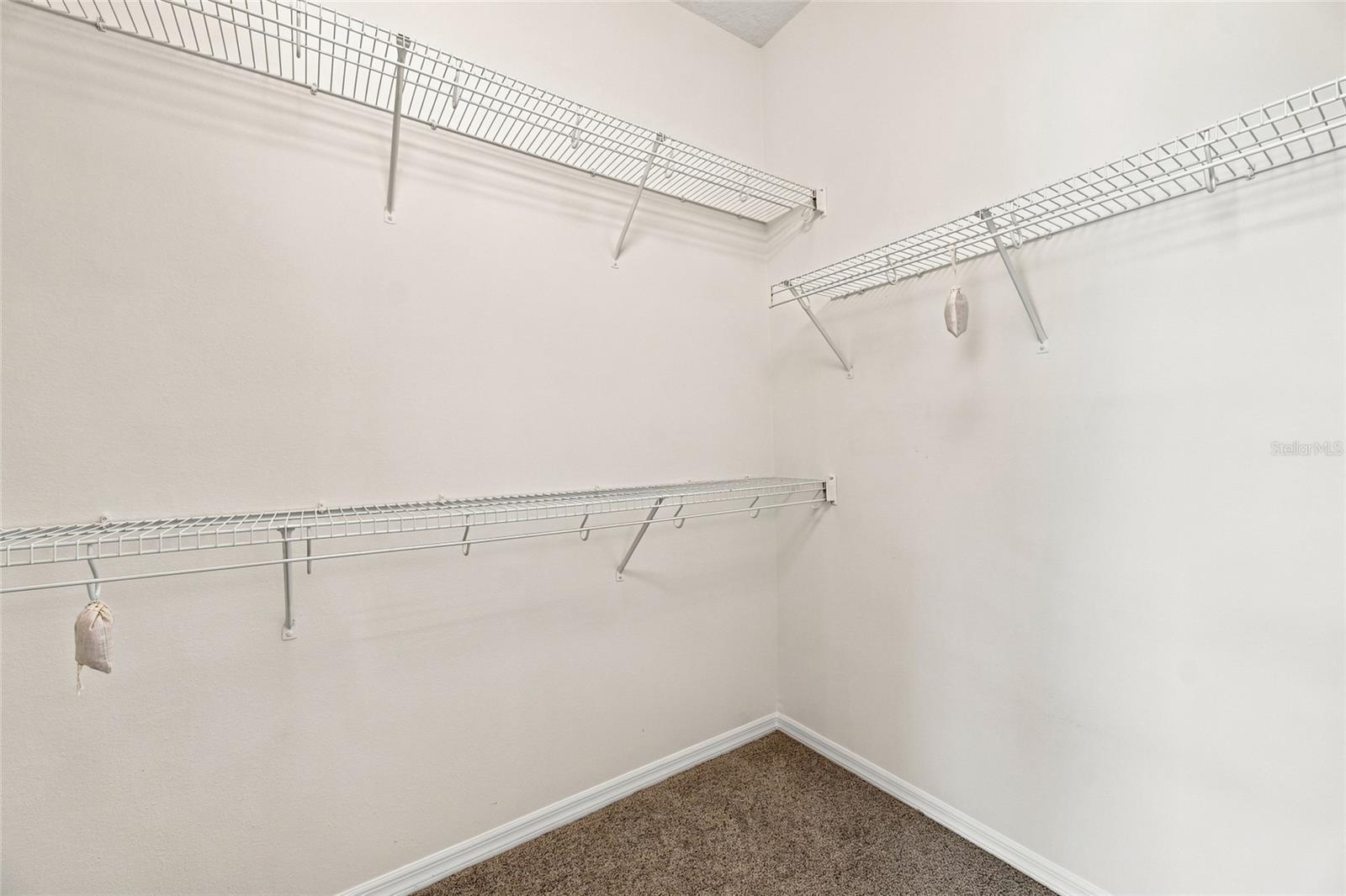 10008 Canopy Tree Ct Property Photo 14