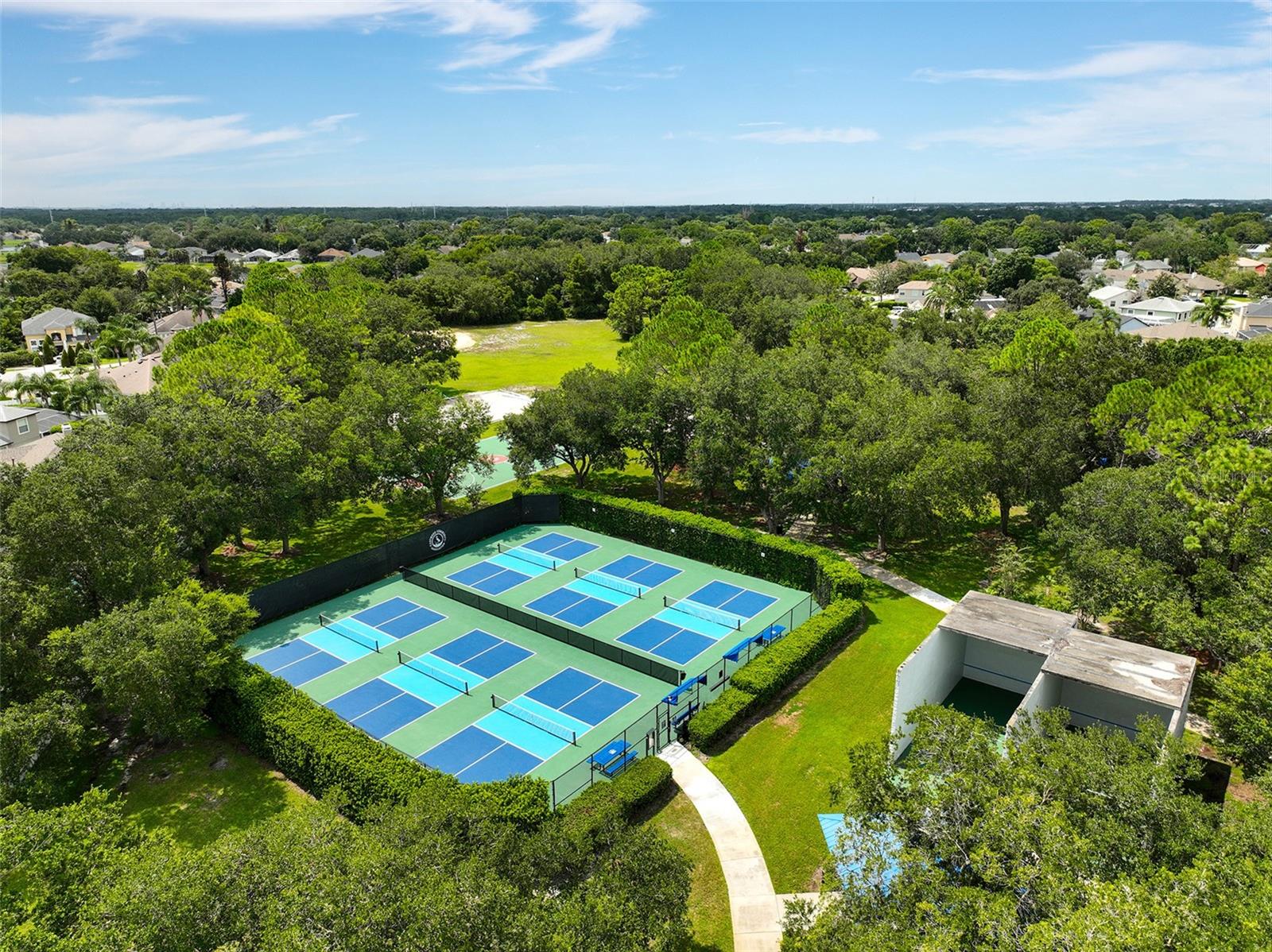 339 Isle Of Sky Circle Property Photo 45