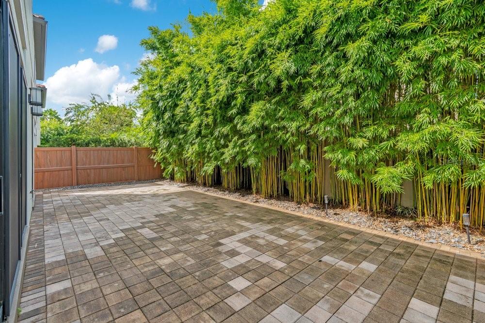 8449 Via Vittoria Way Property Photo 41
