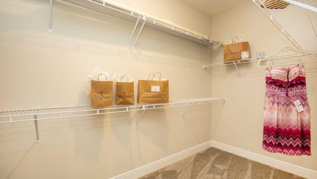 3040 Sunscape Ter Property Photo 16