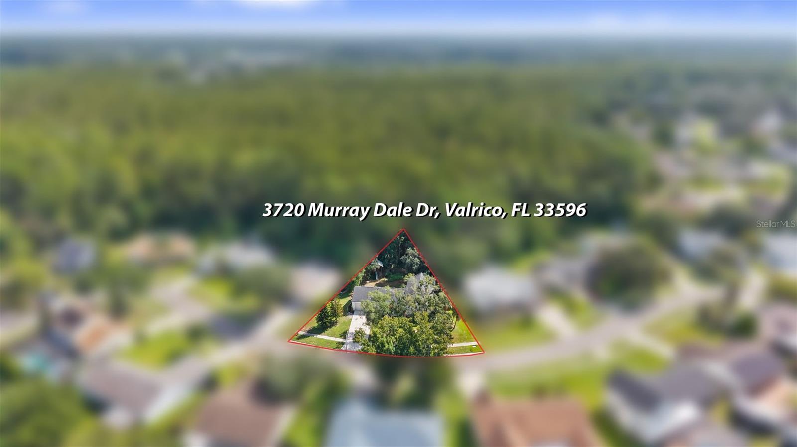 3720 Murray Dale Dr Property Photo 61