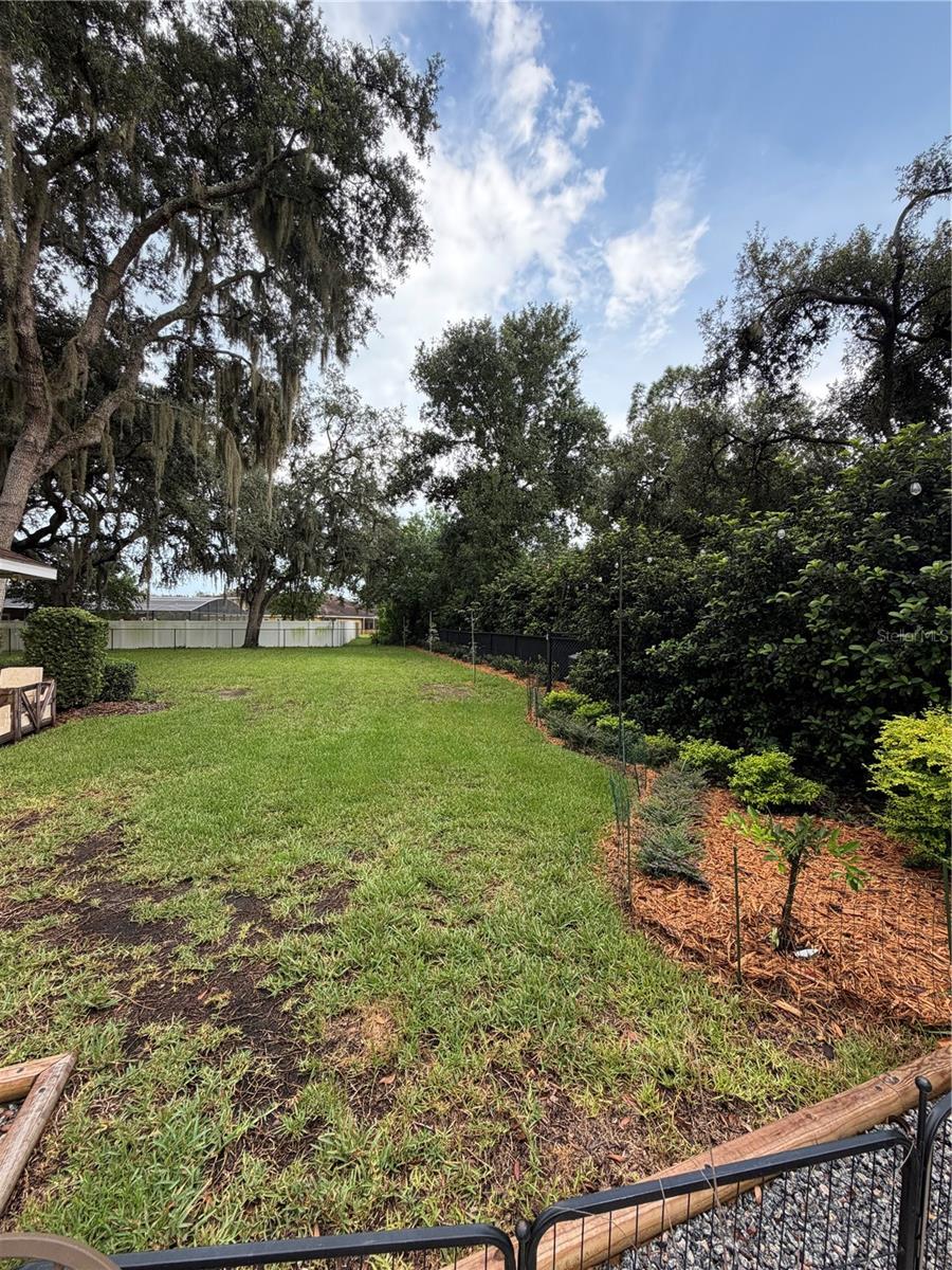 52 Pine Forest Dr Property Photo 62