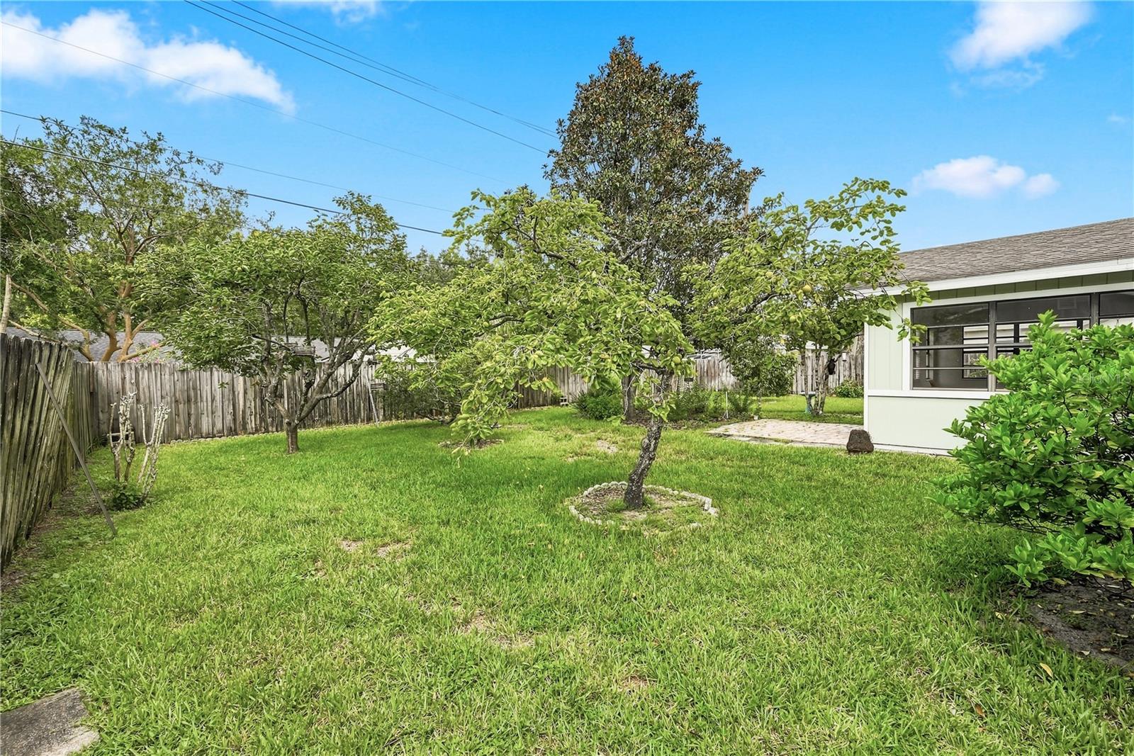 622 Martin Ave Property Photo 31