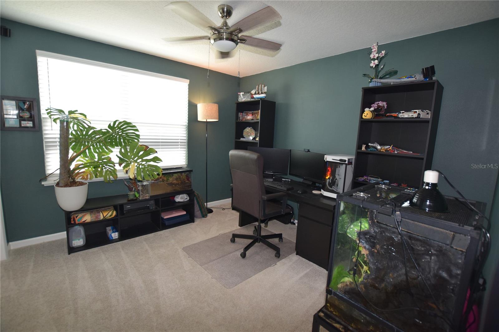 2488 Cedar Rose St Property Photo 31