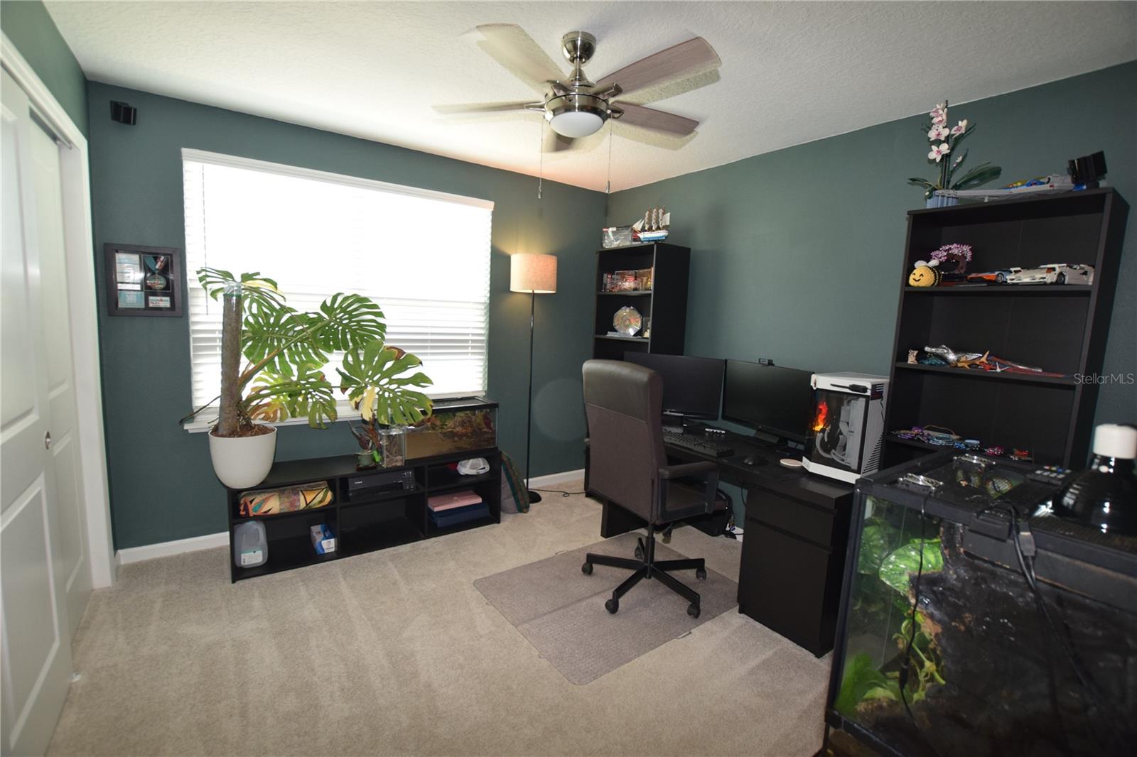 2488 Cedar Rose St Property Photo 35