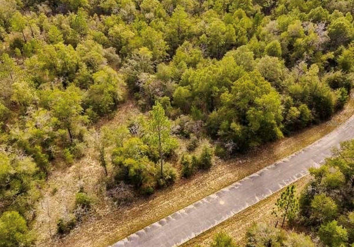 Lot #41 Dandelion Dr Property Photo 1
