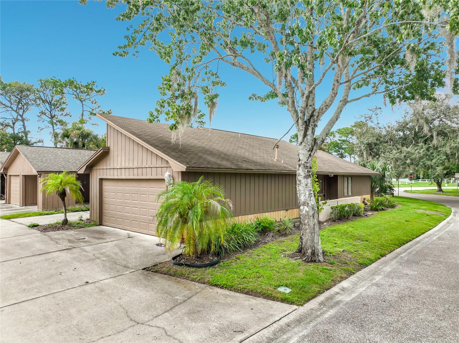 250 RAINTREE DR
