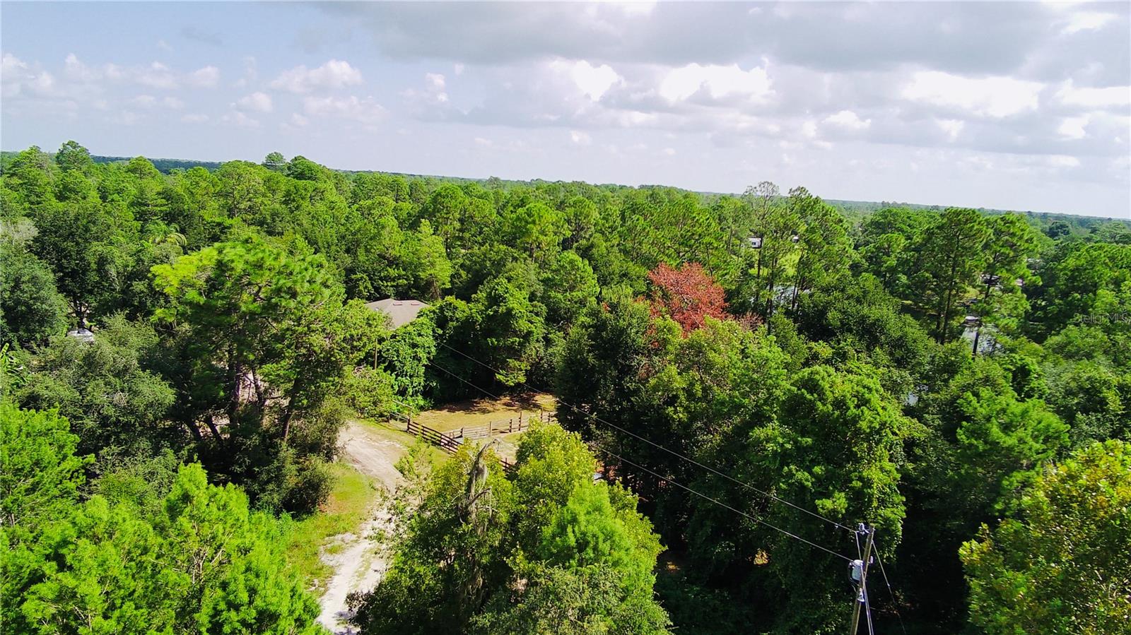 42135 Pine Valley Dr Property Photo 19