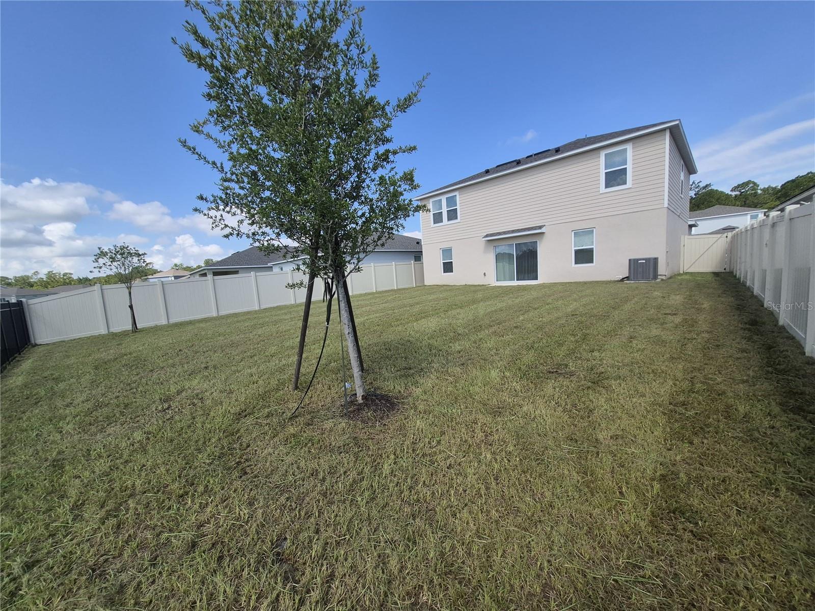 4755 Yellow Elder Way Property Photo 37