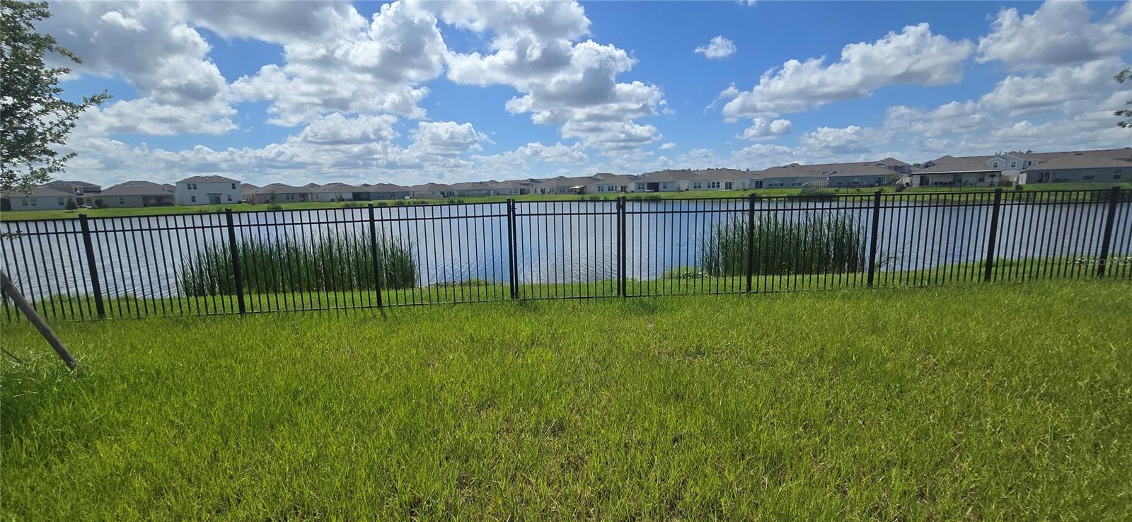 4755 Yellow Elder Way Property Photo 40