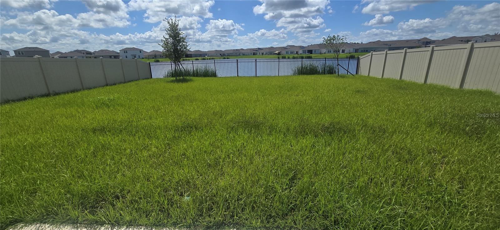 4755 Yellow Elder Way Property Photo 41