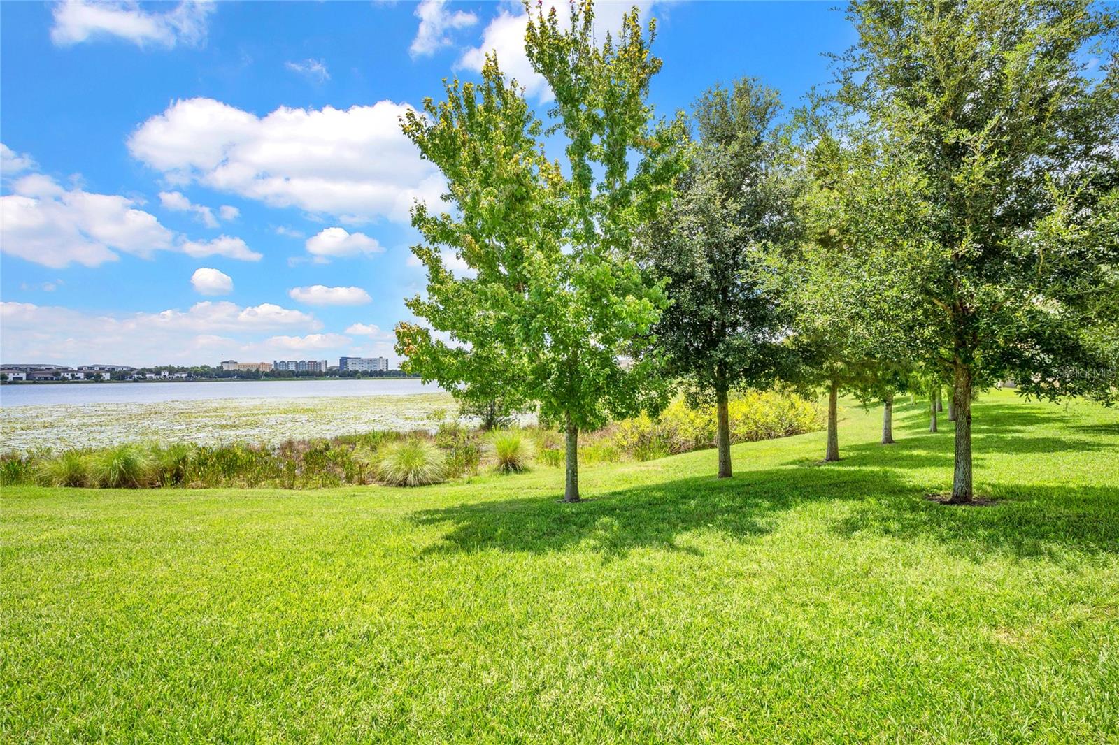 11340 Lemon Lake Blvd Property Photo 46
