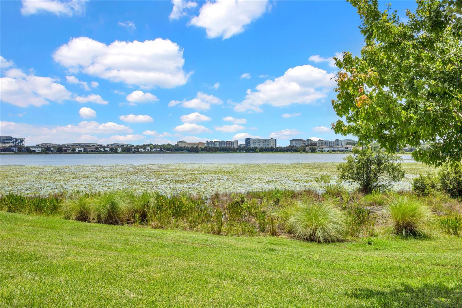 11340 Lemon Lake Blvd Property Photo 47