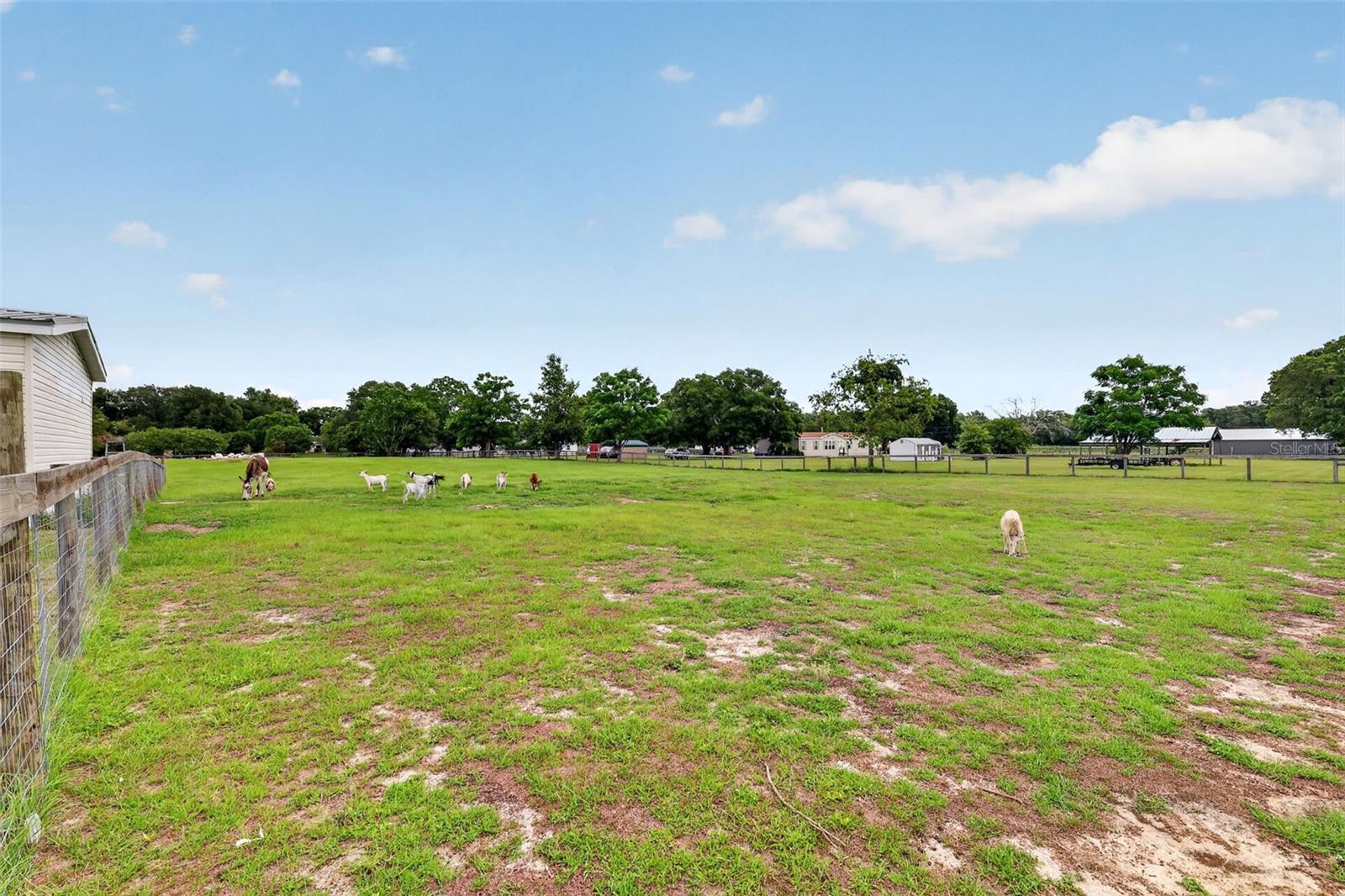 311 Se Highway 42 Property Photo 35
