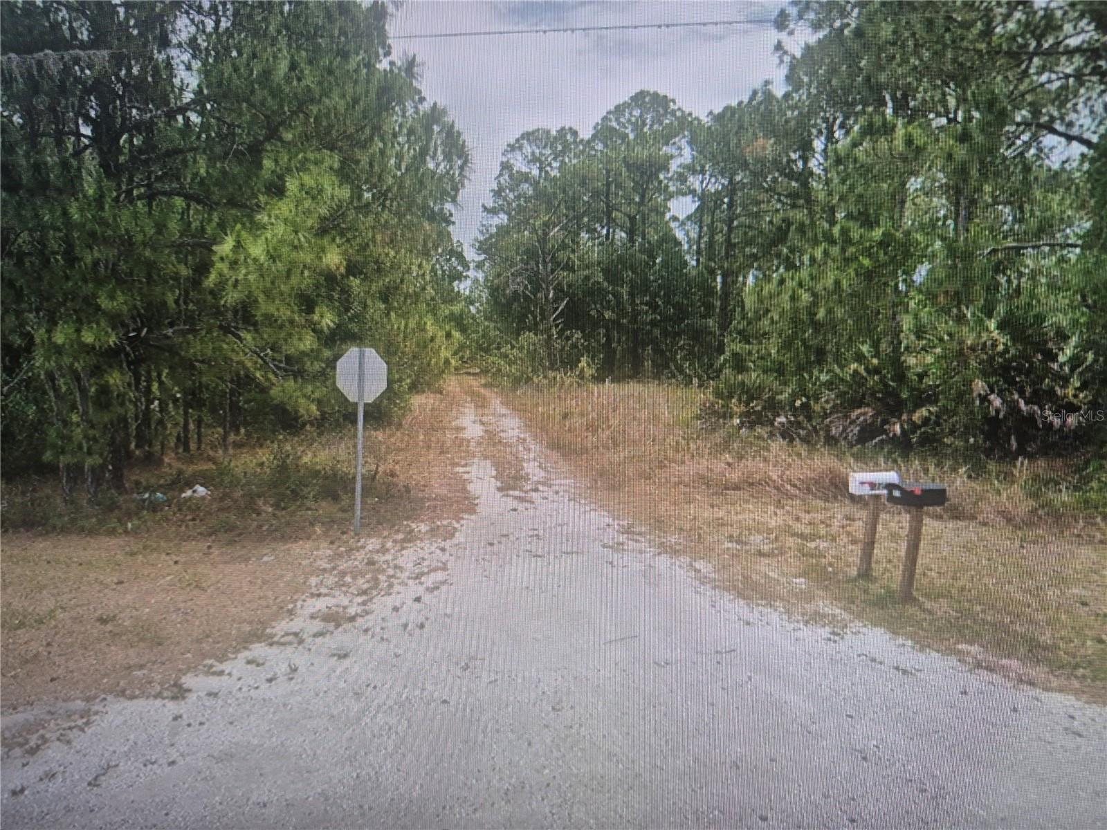 274 Pigeon Ave Property Photo 2