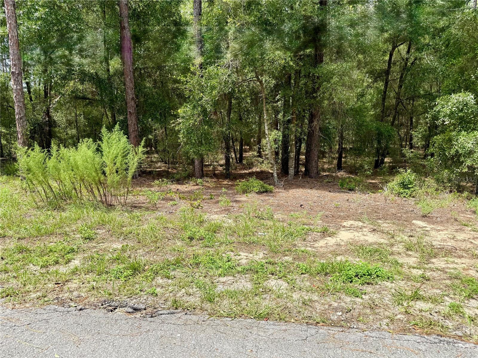 Sw 205th Circle Property Photo 1