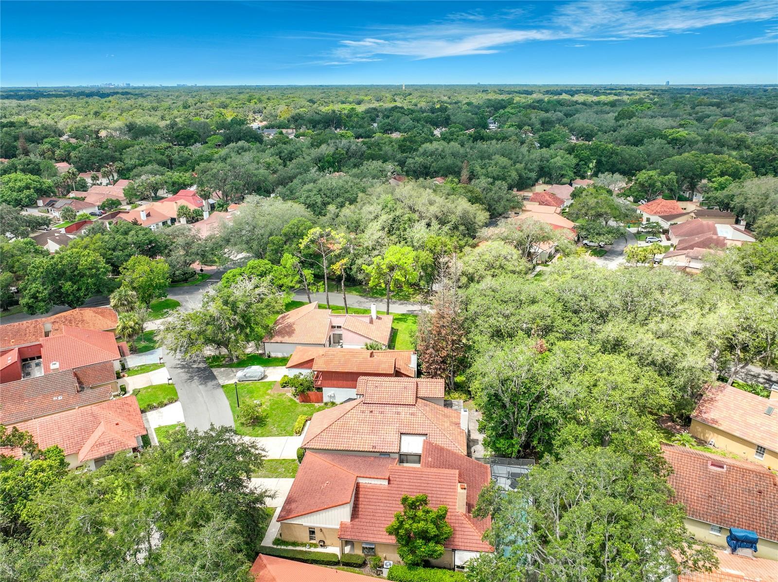 1162 E Winged Foot Cir Property Photo 81