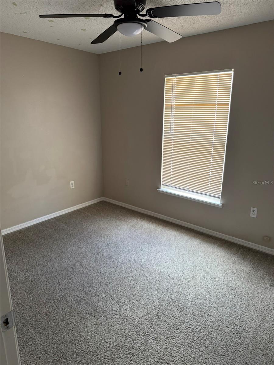 255 Lobelia Dr Property Photo 27