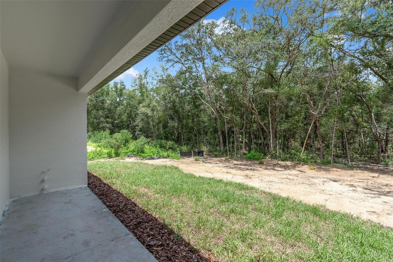10615 N Didiscus Dr Property Photo 30