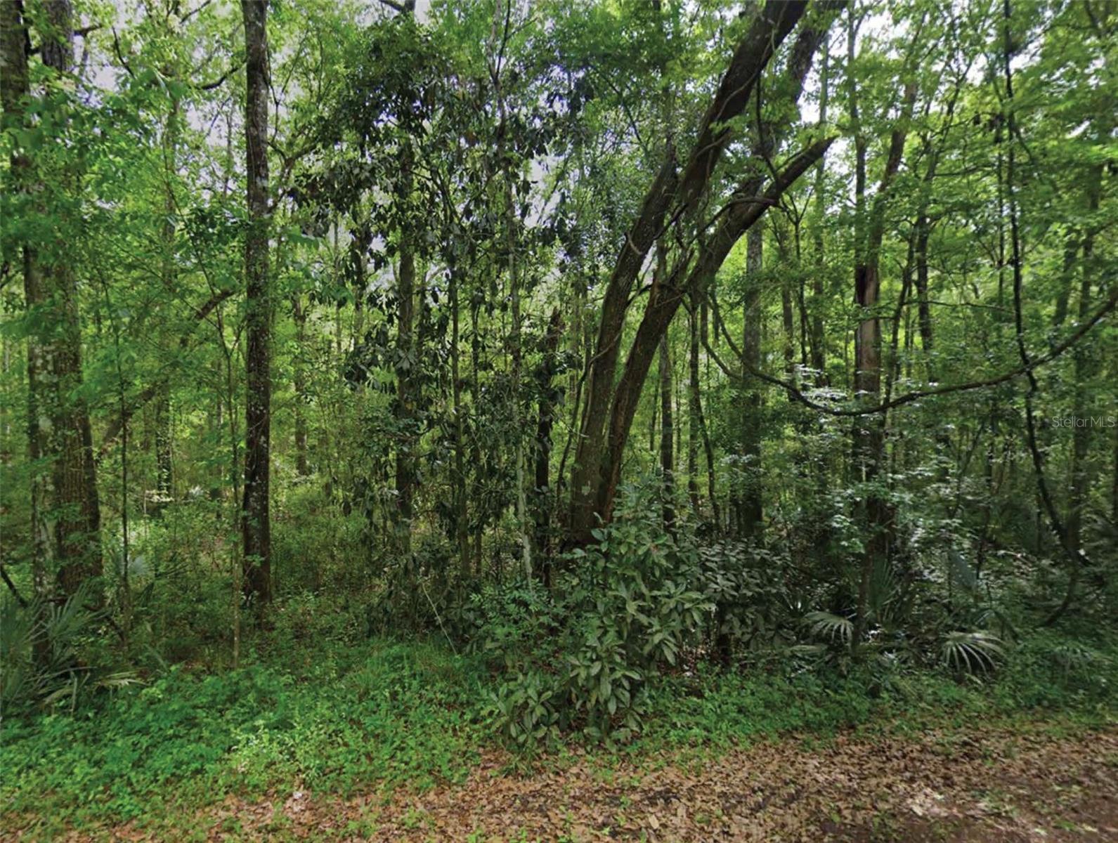 Scenic Dr Property Photo 1