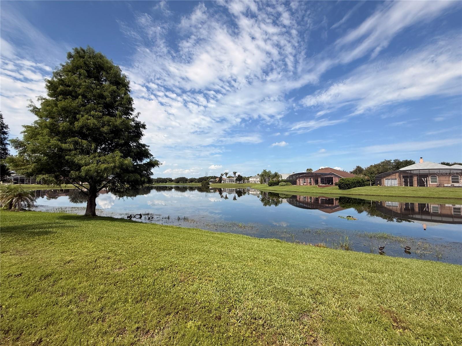 14112 Islamorada Dr Property Photo 69
