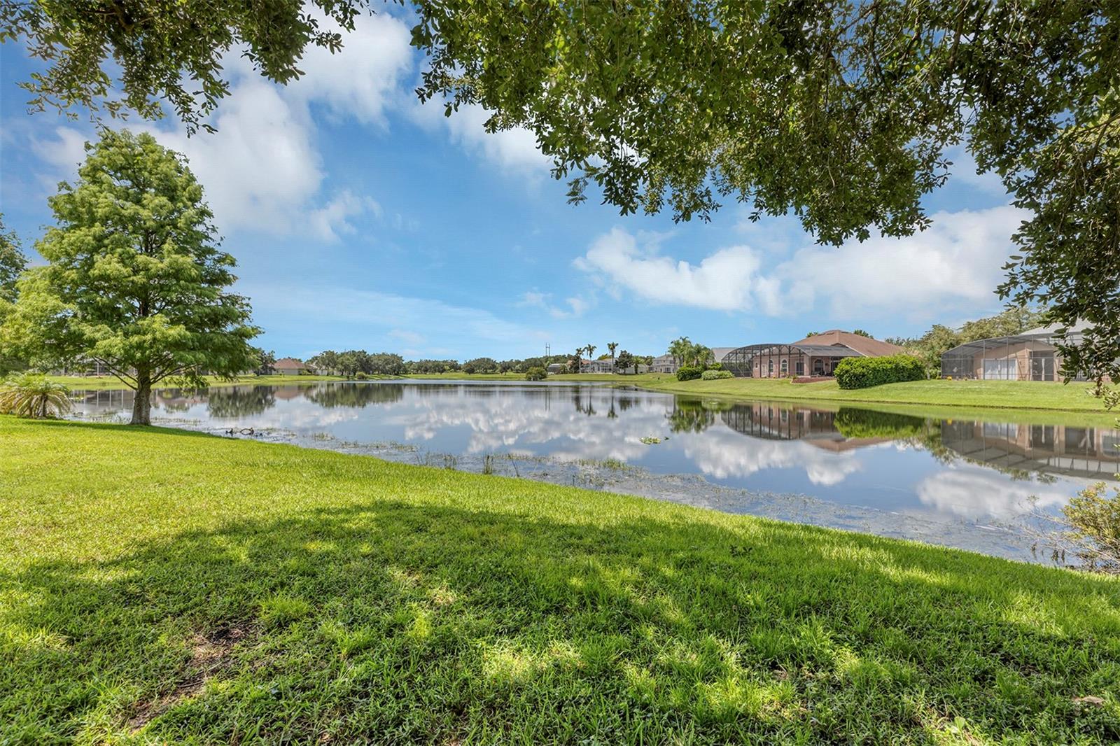 14112 Islamorada Dr Property Photo 73