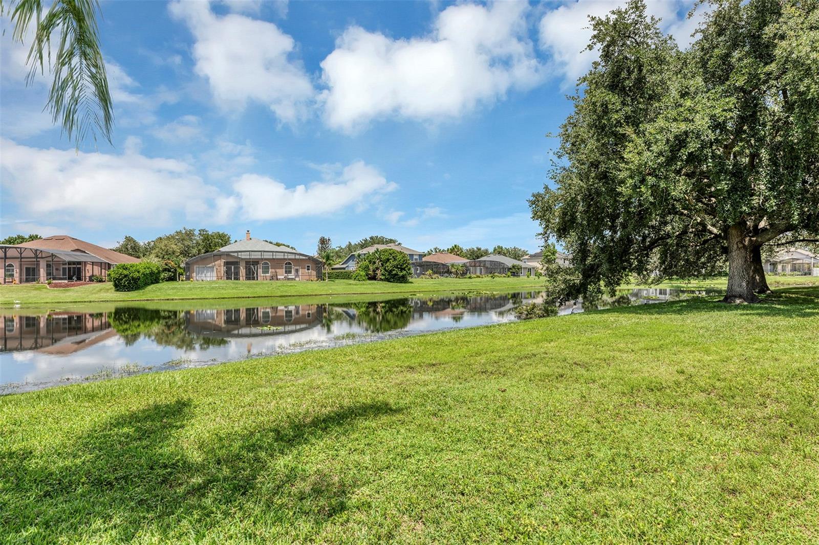 14112 Islamorada Dr Property Photo 75