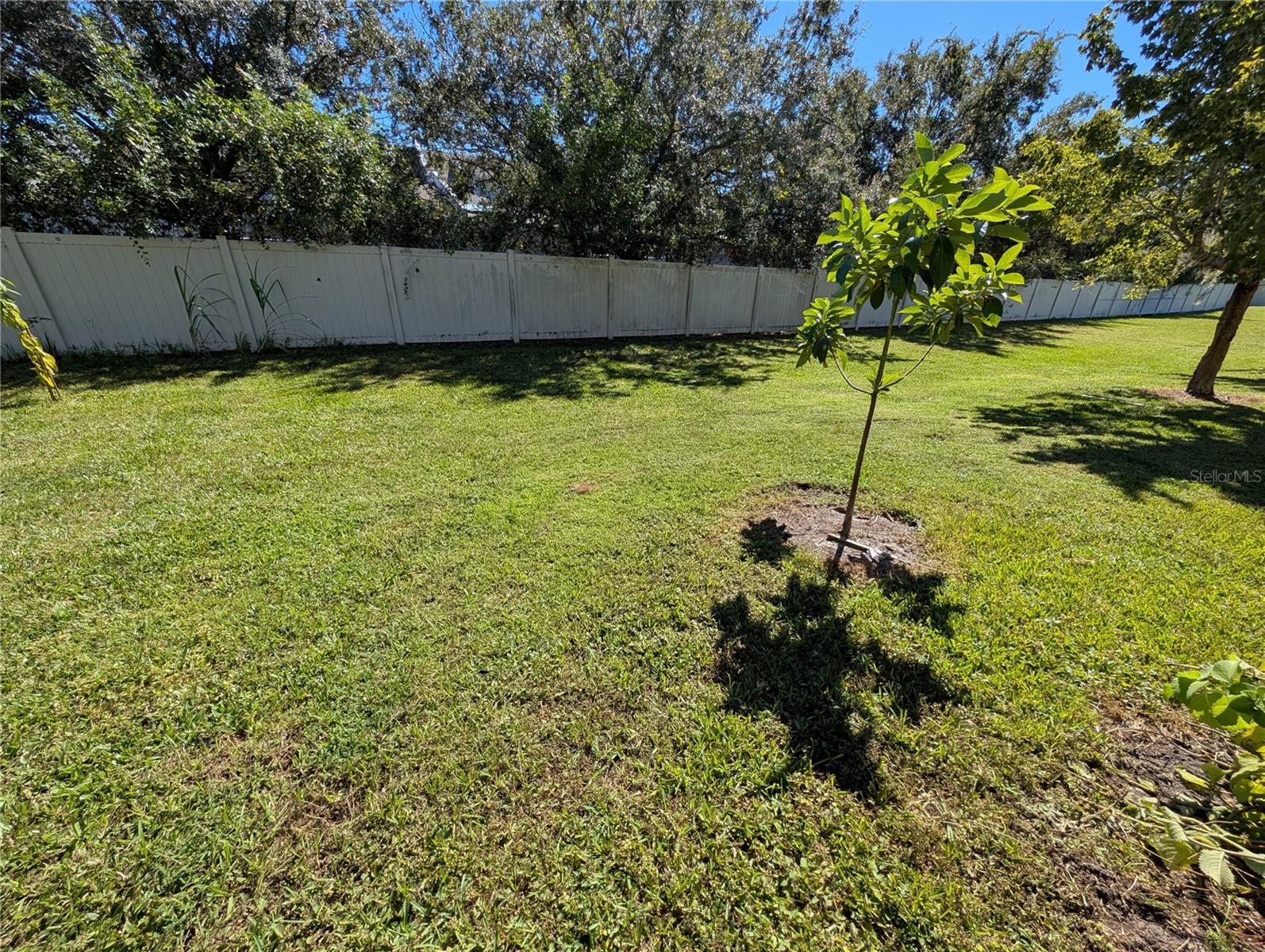 2203 Chatham Pl Property Photo 34