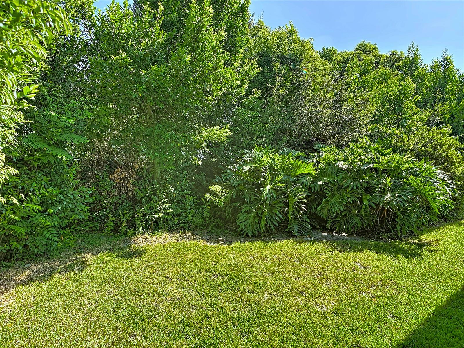 145 Needlewood Loop Property Photo 43