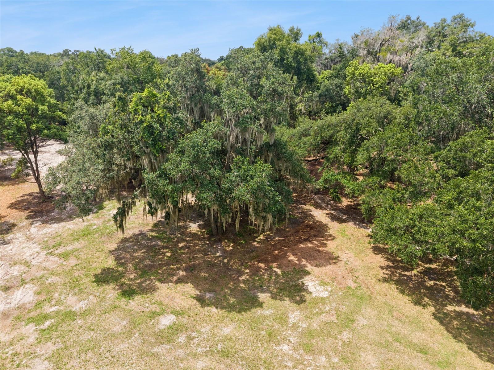 860 E Lisa Ln Property Photo 24