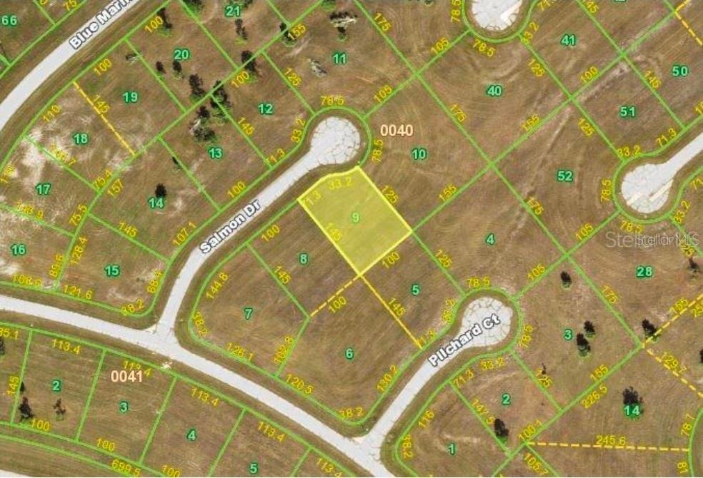 13032 SALMON DR Property Photo 1