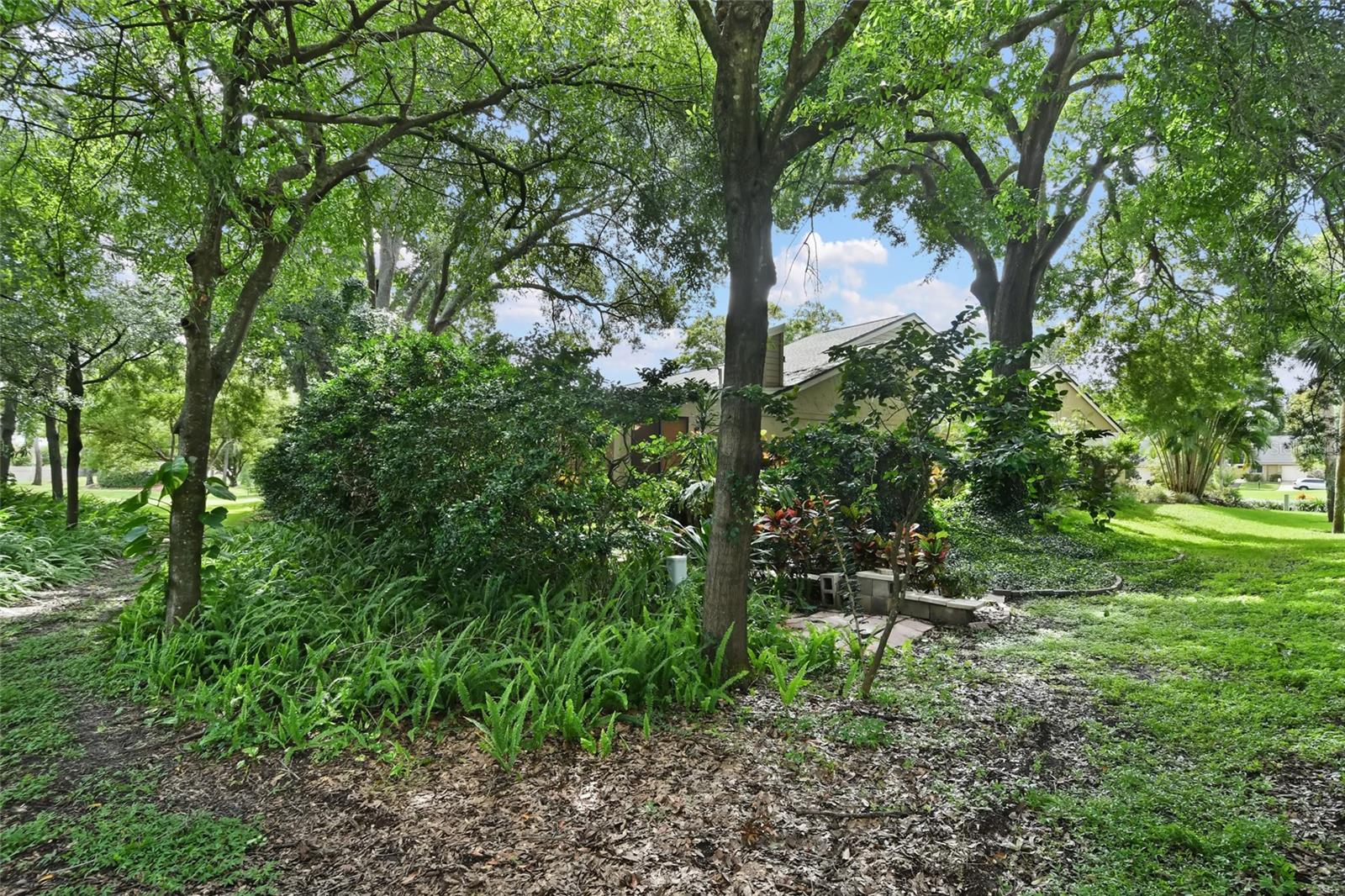 8349 Citrus Chase Dr Property Photo 45