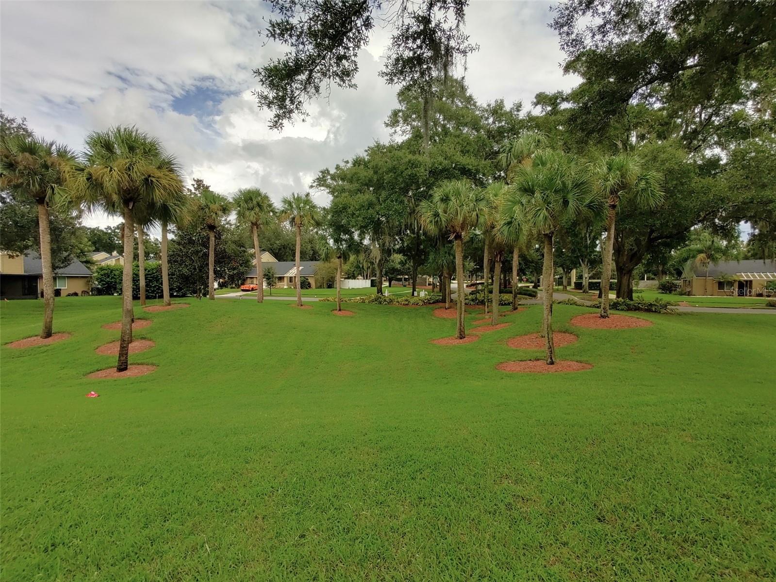 8349 Citrus Chase Dr Property Photo 51