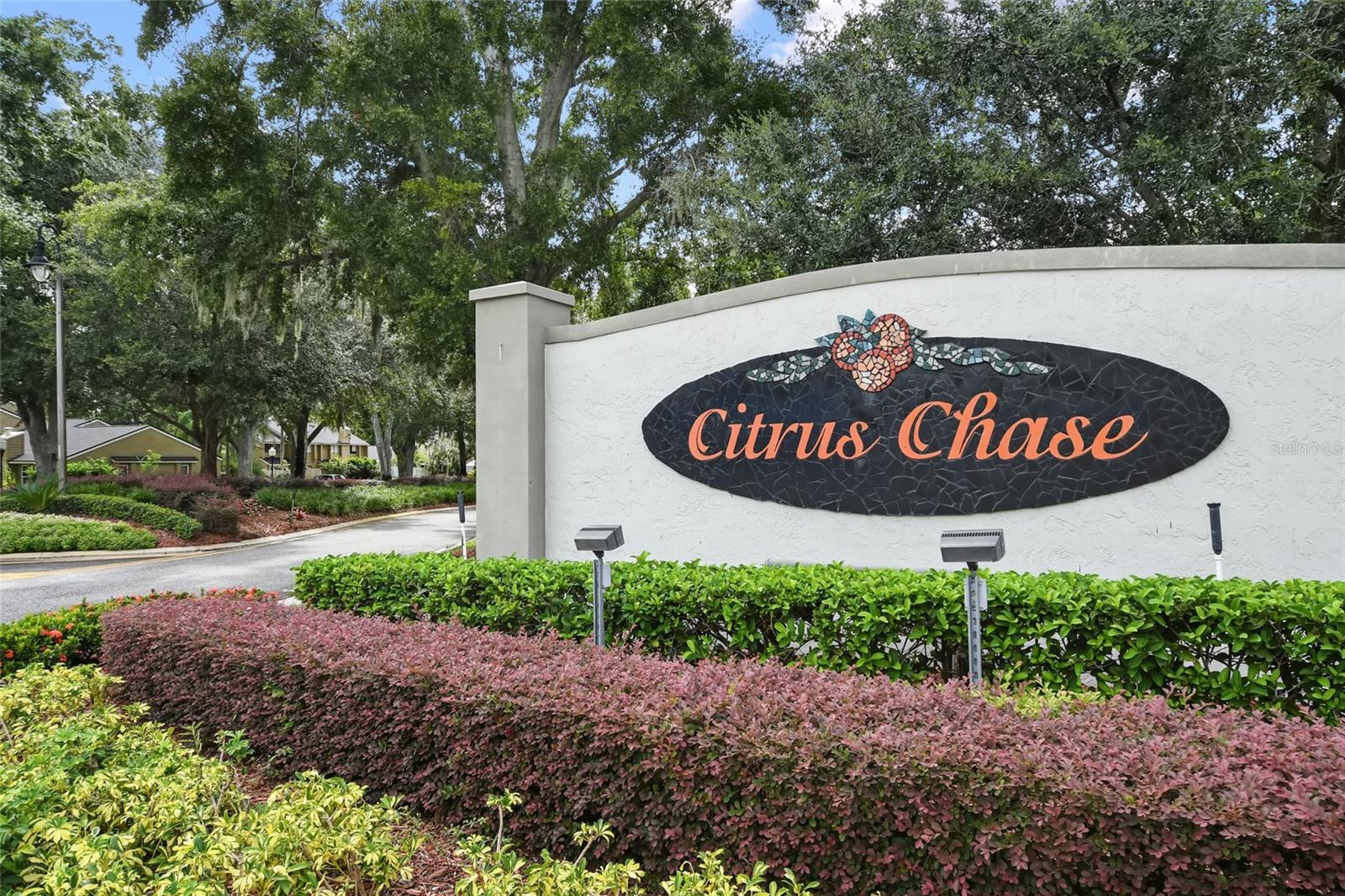8349 Citrus Chase Dr Property Photo 52