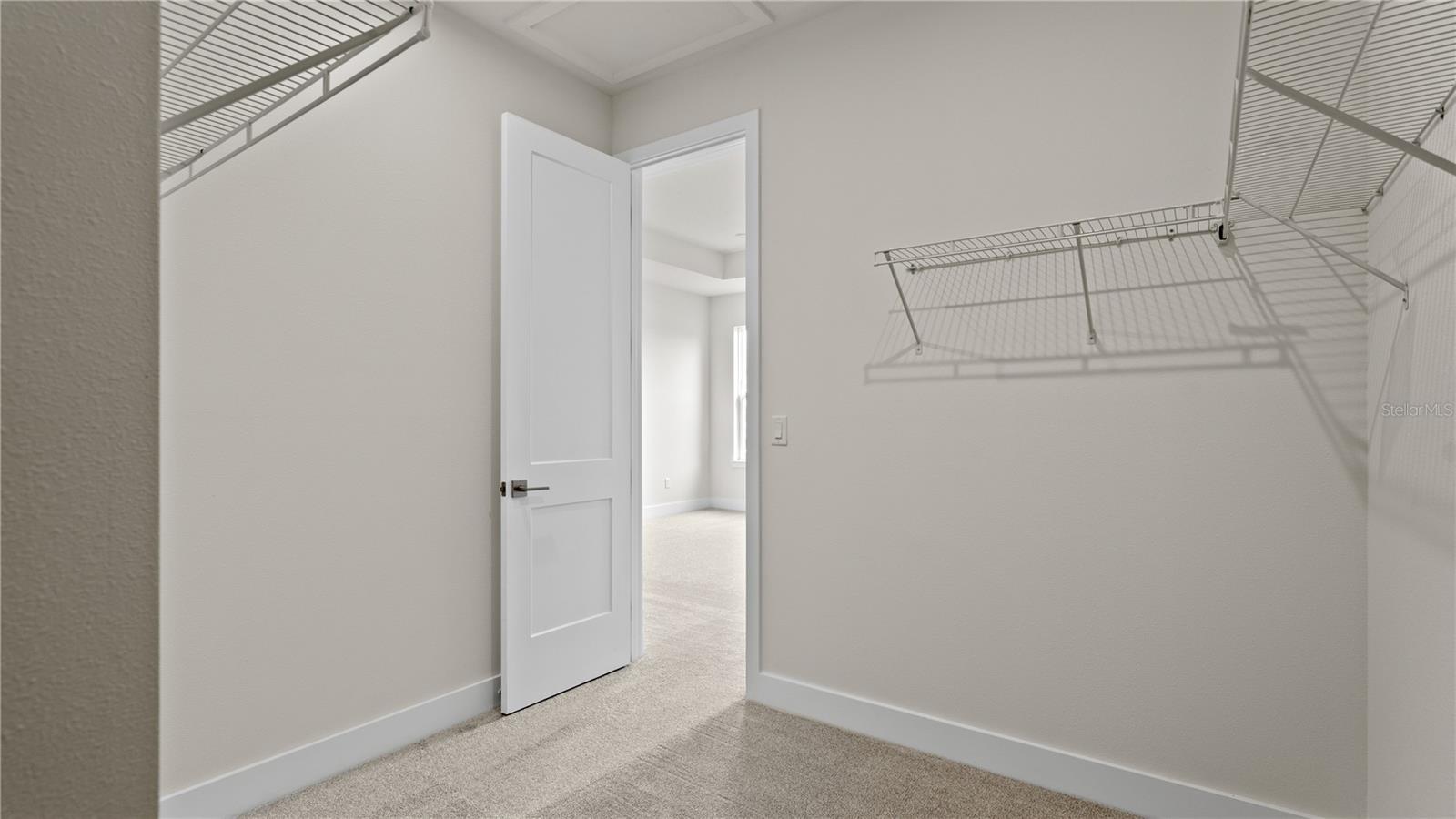 30273 Rustic Mill St Property Photo 25
