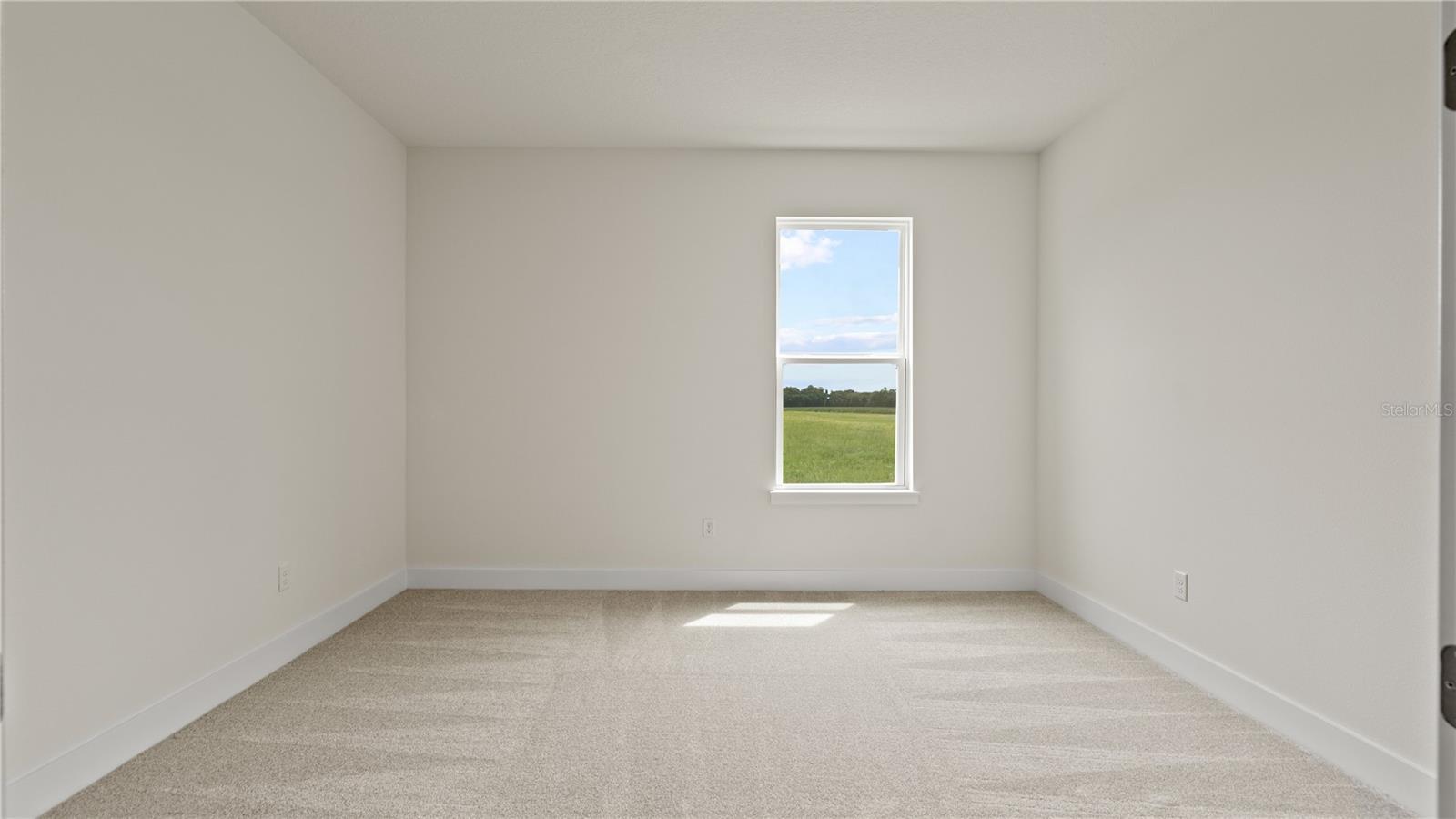 30273 Rustic Mill St Property Photo 30