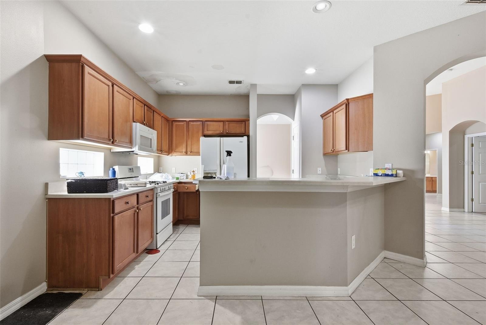 929 Lascala Dr Property Photo 16